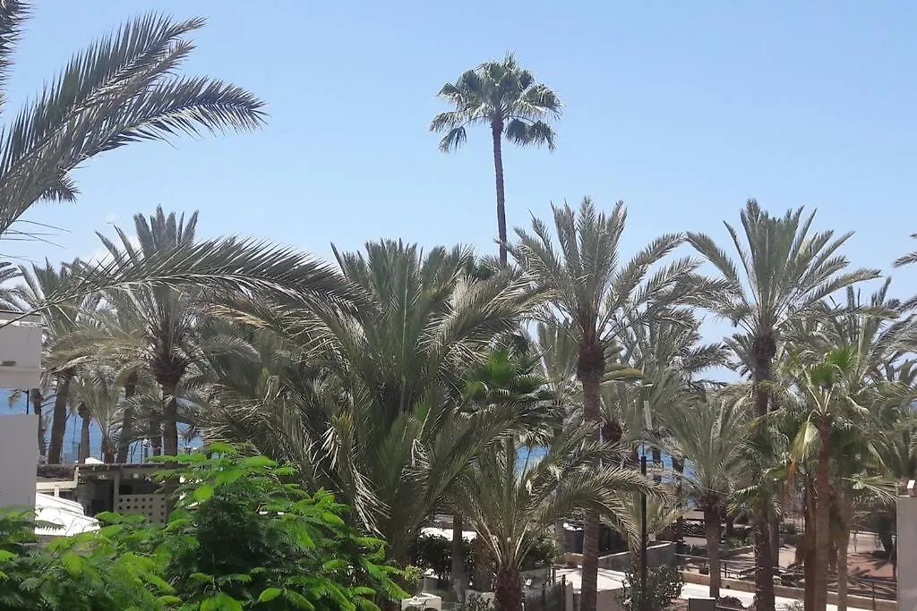 Guayero, Bel Appartement A 50M De La Mer Los Cristianos  0*, Los Cristianos (Tenerife) İspanya