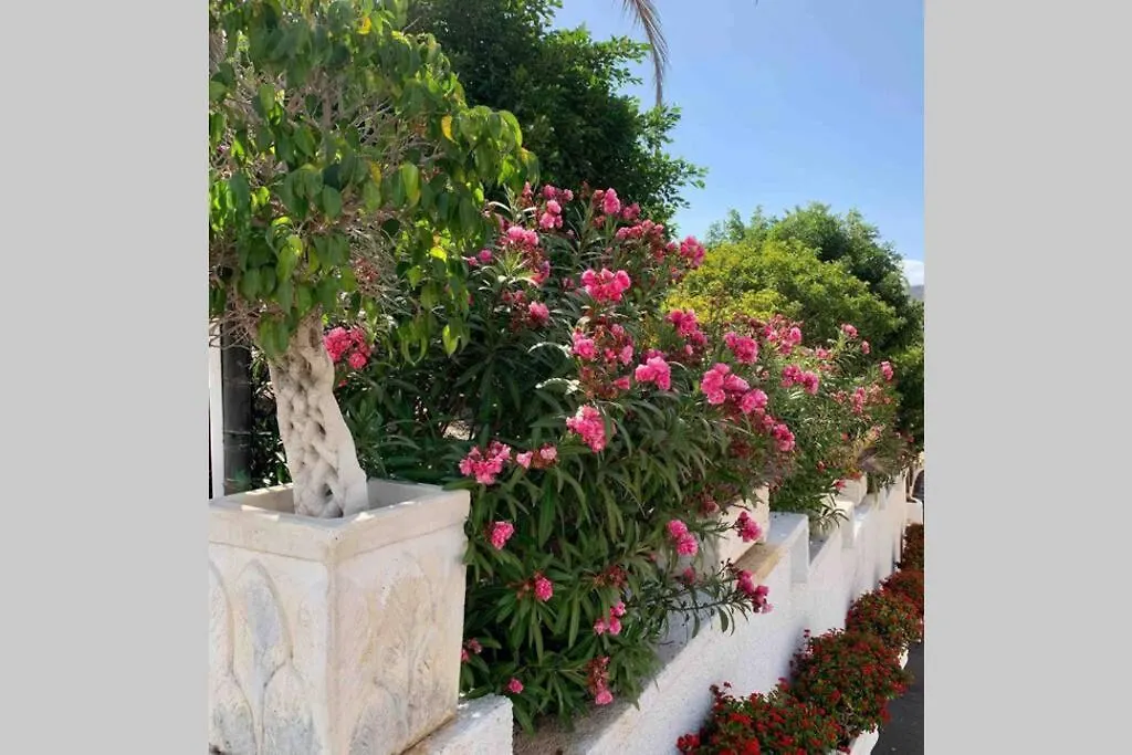 Guayero, Bel Appartement A 50M De La Mer Los Cristianos  Los Cristianos (Tenerife)