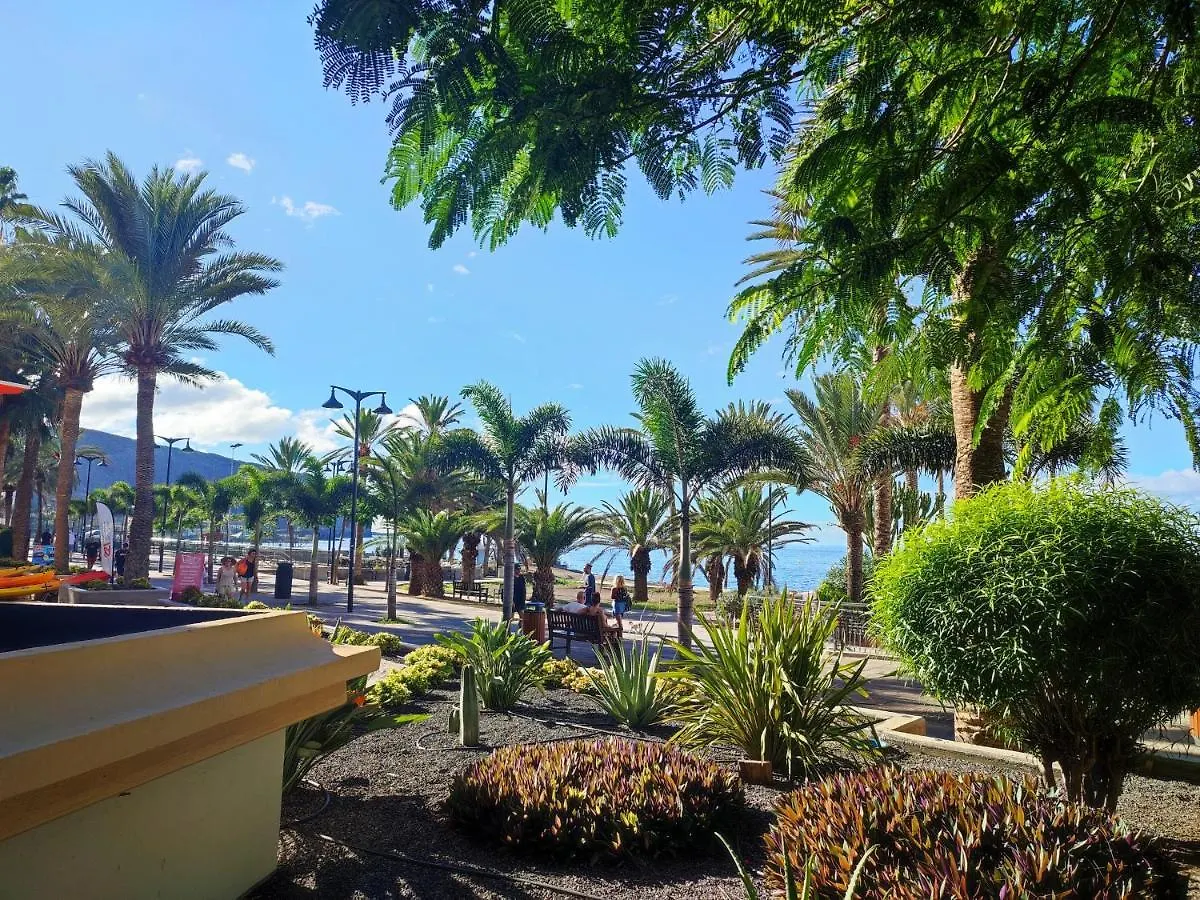 Apartment Guayero, Bel Appartement A 50M De La Mer Los Cristianos